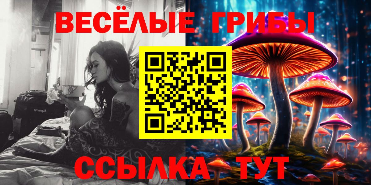 Псилоцибиновые грибы MAGIC MUSHROOMS Вольск