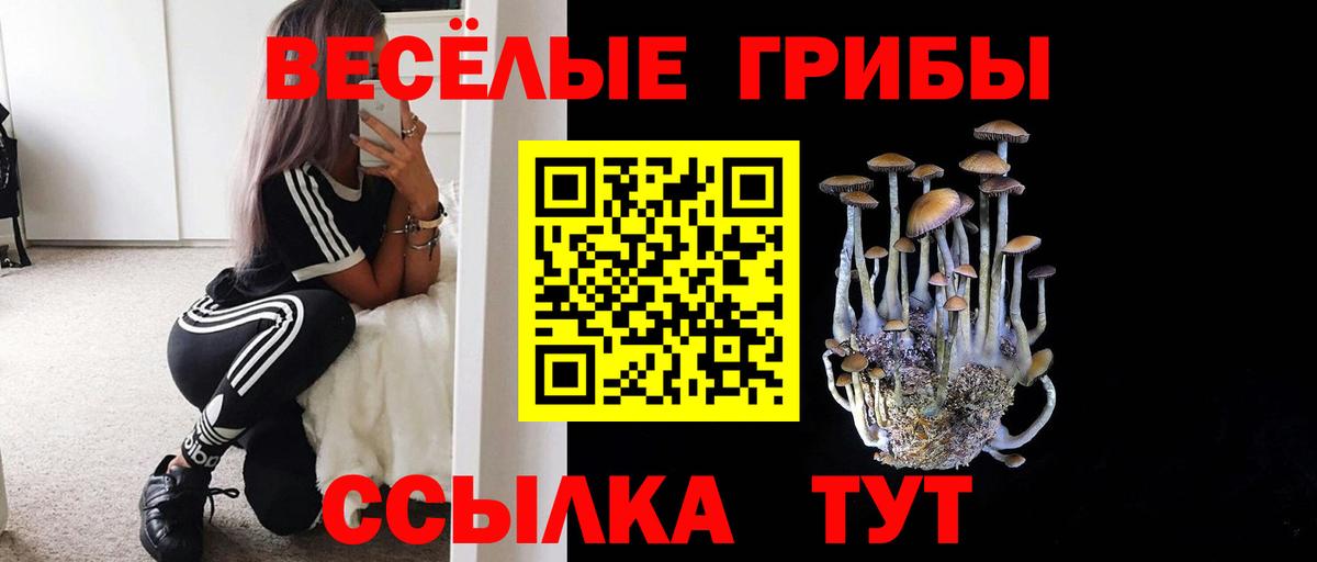 Галлюциногенные грибы прущие грибы  Вход с VPN  купить наркотики цена  Вольск 